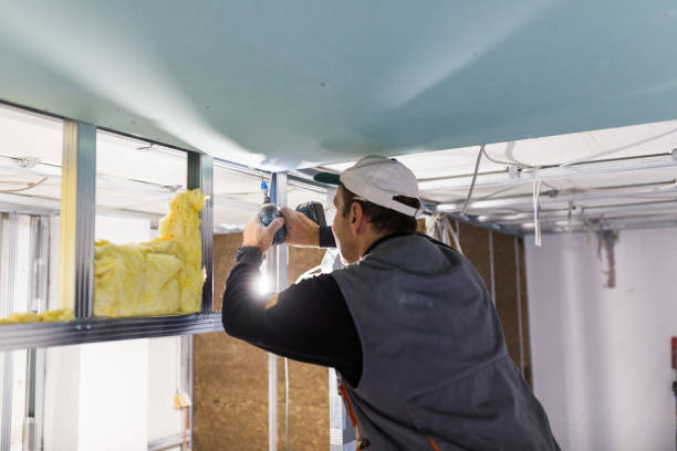 Best Attic Insulation Installation  in Crescent City, FL