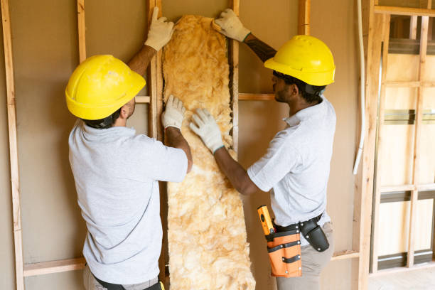 Best Basement Insulation  in Crescent City, FL