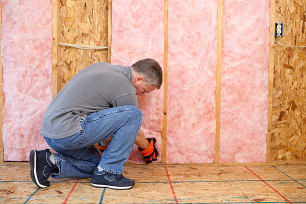 Best Insulation Air Sealing  in Crescent City, FL