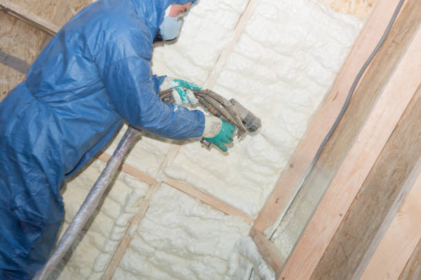 Best Commercial Insulation Services  in Crescent City, FL